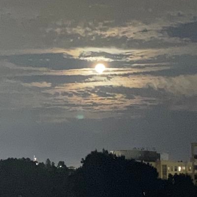 jessypanamorena's profile picture. ❤️🇵🇦🙌🏻🇨🇦🙏🏻❤️