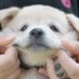 ๋นํ๊ธธ ์ ๋ณด๊ณ (@bihonkorexit) Twitter profile photo ๋นํ๊ธธ ์ ๋ณด๊ณ (@bihonkorexit) Twitter profile photo