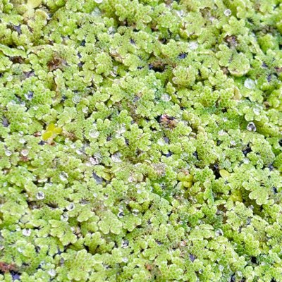 Khanyisile85071's profile picture. 