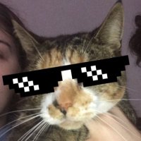 meg👺 (@joysaurora_) 's Twitter Profile Photo