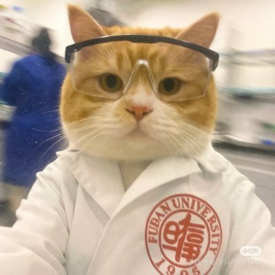 Bachelor of Bioengineering
Wants to apply to Full scholarship funding for the PhD program