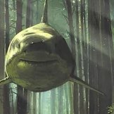 venescrunk Profile