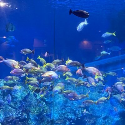 kanaemasyo's profile picture. 【2024.03.26】たまに、にゃおーんと鳴くアカウント🐈🐈‍⬛【2025年の目標】筋トレ💪・抗酸化🍅・美髪🫧・7時間睡眠