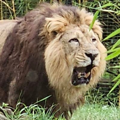 Nicolasde777's profile picture. 