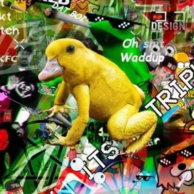 halffrogduck's profile picture. HALF FROG HALF DUCK