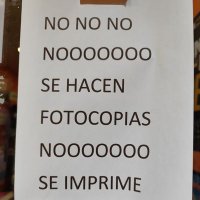 Beatriz (@patradox) 's Twitter Profile