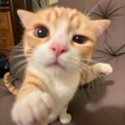 qUaFiMJRFo0J6kH's profile picture. 