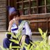 めろん@🏷️片思い3日 (@melo__cos) Twitter profile photo めろん@🏷️片思い3日 (@melo__cos) Twitter profile photo