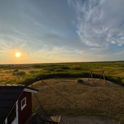 sunysomm's profile picture. 