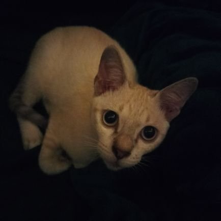 YouMe_FREEDOM's profile picture. YOU&ME
ที่ไม่ใช่แค่คุณกับฉัน 
แต่ที่แปลว่า   ^(เราทุกคน)^