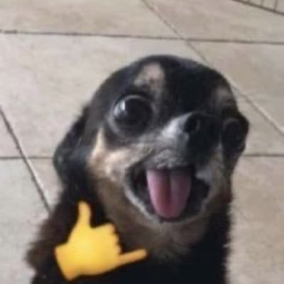 przynajmniejj's profile picture. 