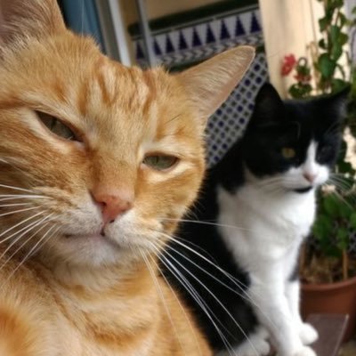 Nipras__'s profile picture. 