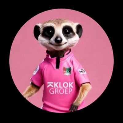 Maatschappelijk duider en bovenal supporter van NEC. Zoek eens op wat Zwimpie betekent.