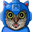 🐈 Cat themed charity Vtuber
⌚️ @MegaMan speedrunner
🎮 Video game collector
🥋 @8_Bit_Dojo👾@BestofNES
💎 @CapcomUSA_ Creator
📝 French translator → @ACS_Games