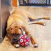 HardyB (@hardybflippin) 's Twitter Profile