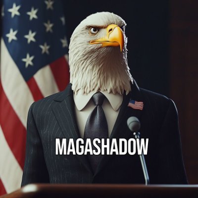 TheShadowMAGA's profile picture. The fight is not over 🚨 45 never surrendered. Built to expose the lies they fear. Patriot. Fighter. Unfiltered. JOIN ME 🇺🇸