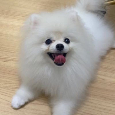 āđāļĄāđāļĄāļĩāļāđāļēāđāļāđāļāđāļēāļĒ āđāļĄāđāļĢāļąāļāļāļđāđāļāļēāļĒ https://t.co/UuNDLTpnfX #āđāļāļāļāđāļēāļāđāļĄāļāļĩāđ