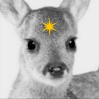 cestcomecana's profile picture. é babado