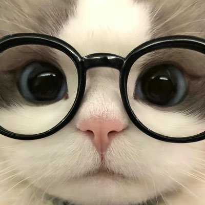 SolarSystemxx's profile picture. ᴛ | ꜱɴꜱᴅ / ꜱʟ / ᴇ | ʟ ᴏɴʟʏ ~ᶠᵃⁿ ᴬᶜᶜᵒᵘⁿᵗ