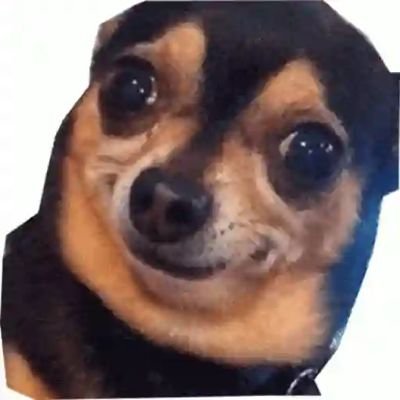 MoisesQuin8817's profile picture. 