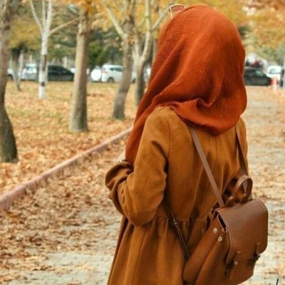 KNadeem331346's profile picture. 