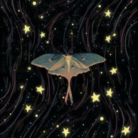 mothy wothy of edtwt (@moths_madness) 's Twitter Profile