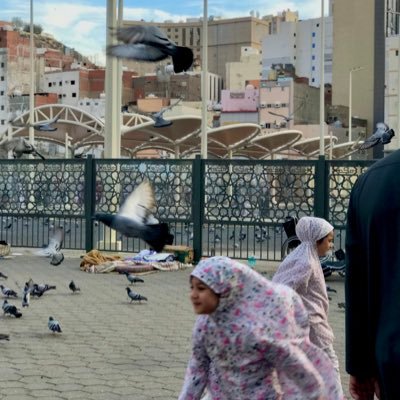 أرجو من الله أن لا تتثاقل خطواتي في كل سبيل بهِ نفعٌ يُرجى ثوابه، وأثرٌ يبقى امتداده..