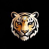 First LionCTO On BNB (@lioncto) 's Twitter Profile