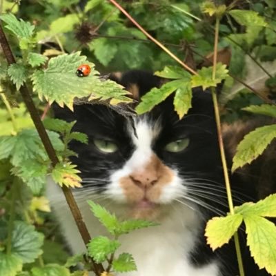 smiggy3000's profile picture. Twitter twitter twitter twitter