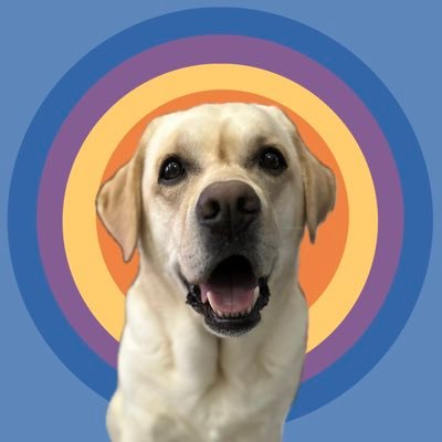(He/Him) Cooper is a yellow Labrador pupster. He was born 13th March 2019. Cooper likes eating, playing, sleeping, meeting new friends & Taylor Swift! ❤️🔥