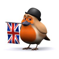 Robin (@opionatednan) 's Twitter Profile Photo Robin (@opionatednan) 's Twitter Profile Photo