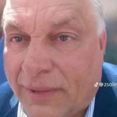 marcellomigelo's profile picture. Matrac