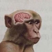 Sasquatch Guy (@sasquatchguy555) 's Twitter Profile
