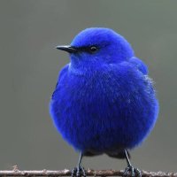 Kaspa pie (@buttercatcrypto) 's Twitter Profile Photo Kaspa pie (@buttercatcrypto) 's Twitter Profile Photo