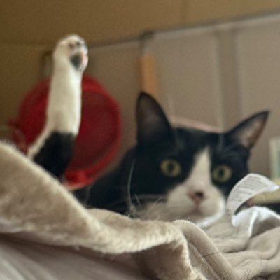 rusi90Q22196's profile picture. 