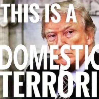 I stand with Ukraine 🇺🇦 Canada 🇨🇦 and Mexico 🇲🇽. Because I'm not a magaT.
Let love light the way.
#Harris24
DM's NOT welcome!