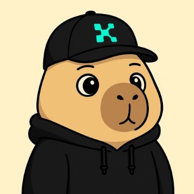 lfg_0xLucas's profile picture. 