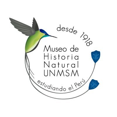 Twitter oficial del Museo de Historia Natural de la Universidad Nacional Mayor de San Marcos @UNMSM_. 107 años investigando la biodiversidad del Perú. #MHNUNMSM