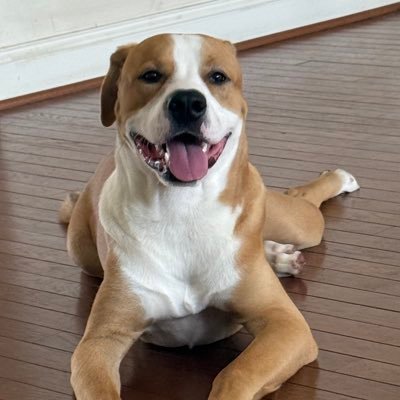 JaidenCoa's profile picture. Documenting my trading journey