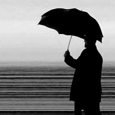 ogata_shoetsu's profile picture. 