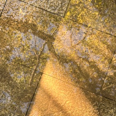 6CGHCNHBI582170's profile picture. 