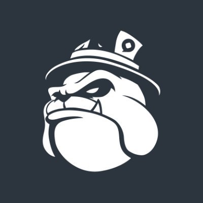 Bulldog Reporter Profile