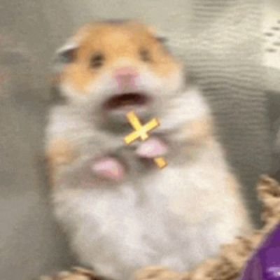 Nostali13's profile picture. 🌜✨♑