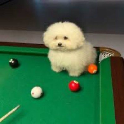 alguienmas3445's profile picture. 