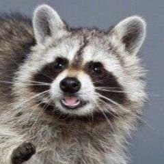 minor_unicorn's profile picture. 성인/장르계×/장발미인계략악역른(리버스X)                                           🚫Repost, ai학습🚫                                    
      https://t.co/zMi0Qe39Z4