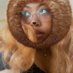 Meowsy🦥 (@__meowsy__) Twitter profile photo Meowsy🦥 (@__meowsy__) Twitter profile photo