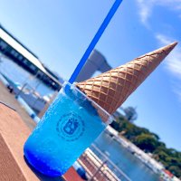 ⛄️ ア オ イ ❄️ (@aoiii_digimooon) 's Twitter Profile