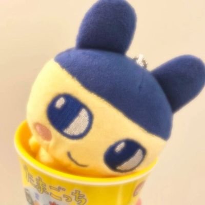 luoyang31732917's profile picture. 有事加QQ3998553040 备注来意