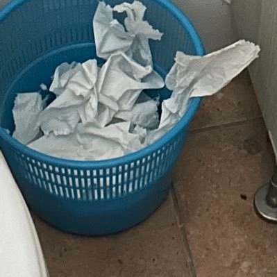 higoseng's profile picture. 