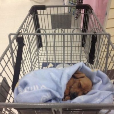 jazzyja06398965's profile picture. I just be lurking fr. my feed is stuck on love island atm. forgive me when I fail to cleanse.